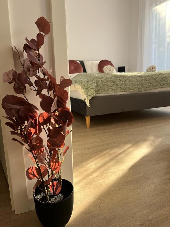 سيغيد Mathias Premium Apartments المظهر الخارجي الصورة